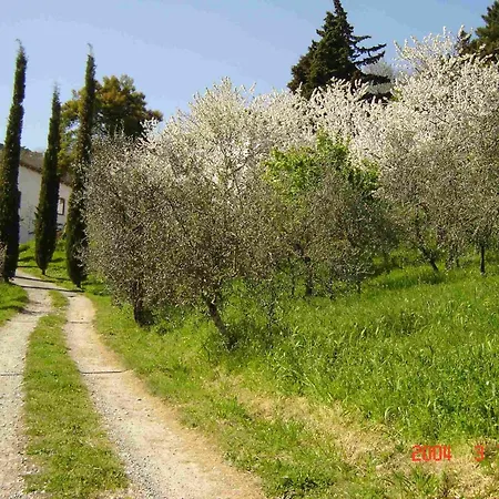 Poderesulle soglie del Bosco appartament&rooms-3